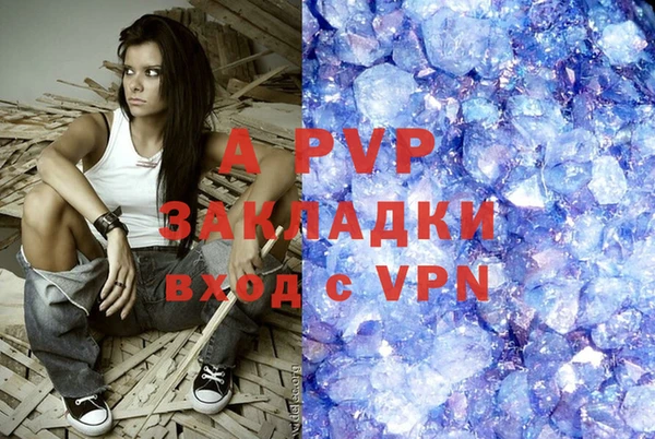 прущие грибы Баксан